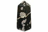 Polished Snowflake Stone Obelisk - Pakistan #237798-1